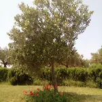 Curica Doma Bed & Breakfast Donje Polje