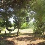 Bed & Breakfast Curica Doma *