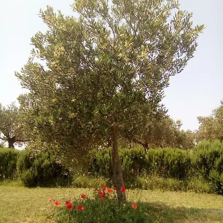 Curica Doma Bed & Breakfast Donje Polje