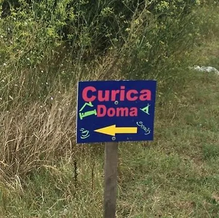 Curica Doma *